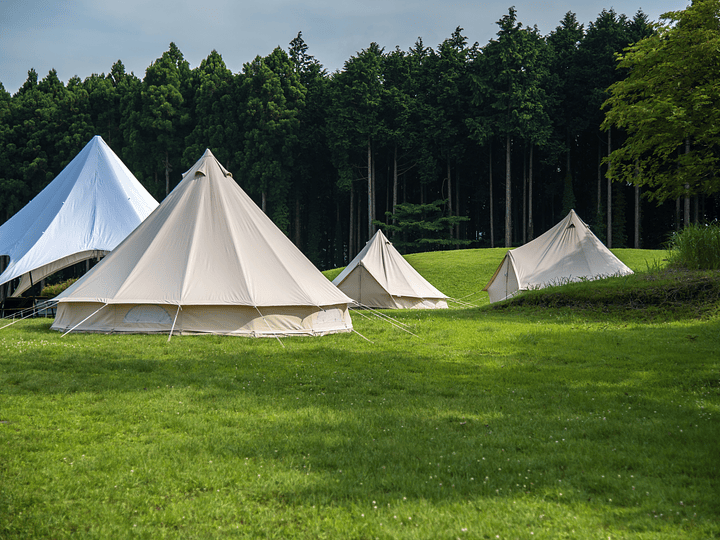 ¿Qué carpa Sibley elegir?
