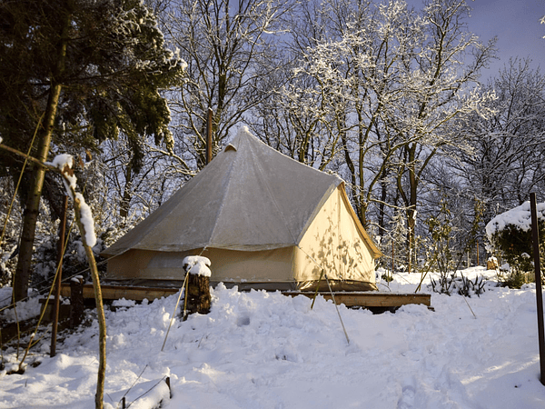 Sibley APEX: cómo entender sus certificaciones de calidad (y por qué importan en proyectos profesionales)