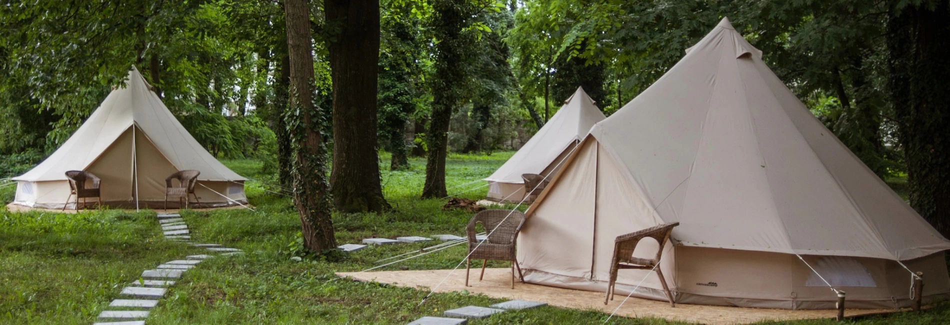 Carpas Sibley en la naturaleza, rodeadas de vegetación