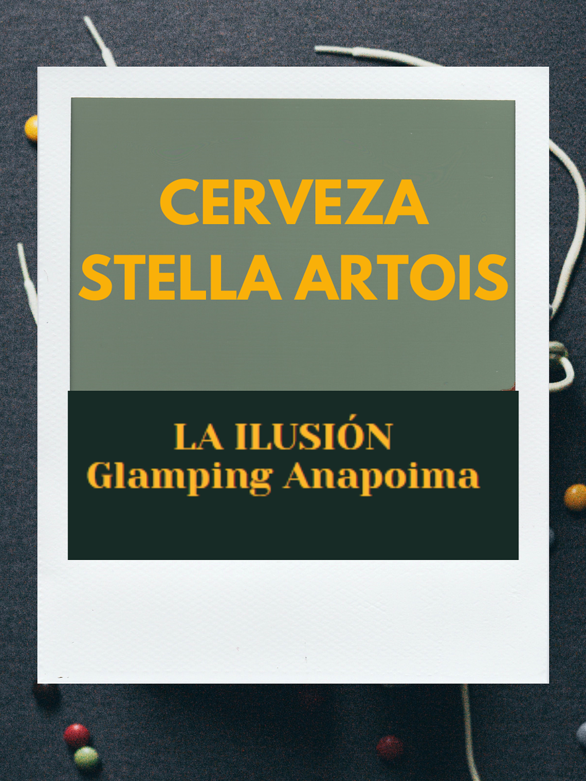 Cerveza Stella Artois Six 1