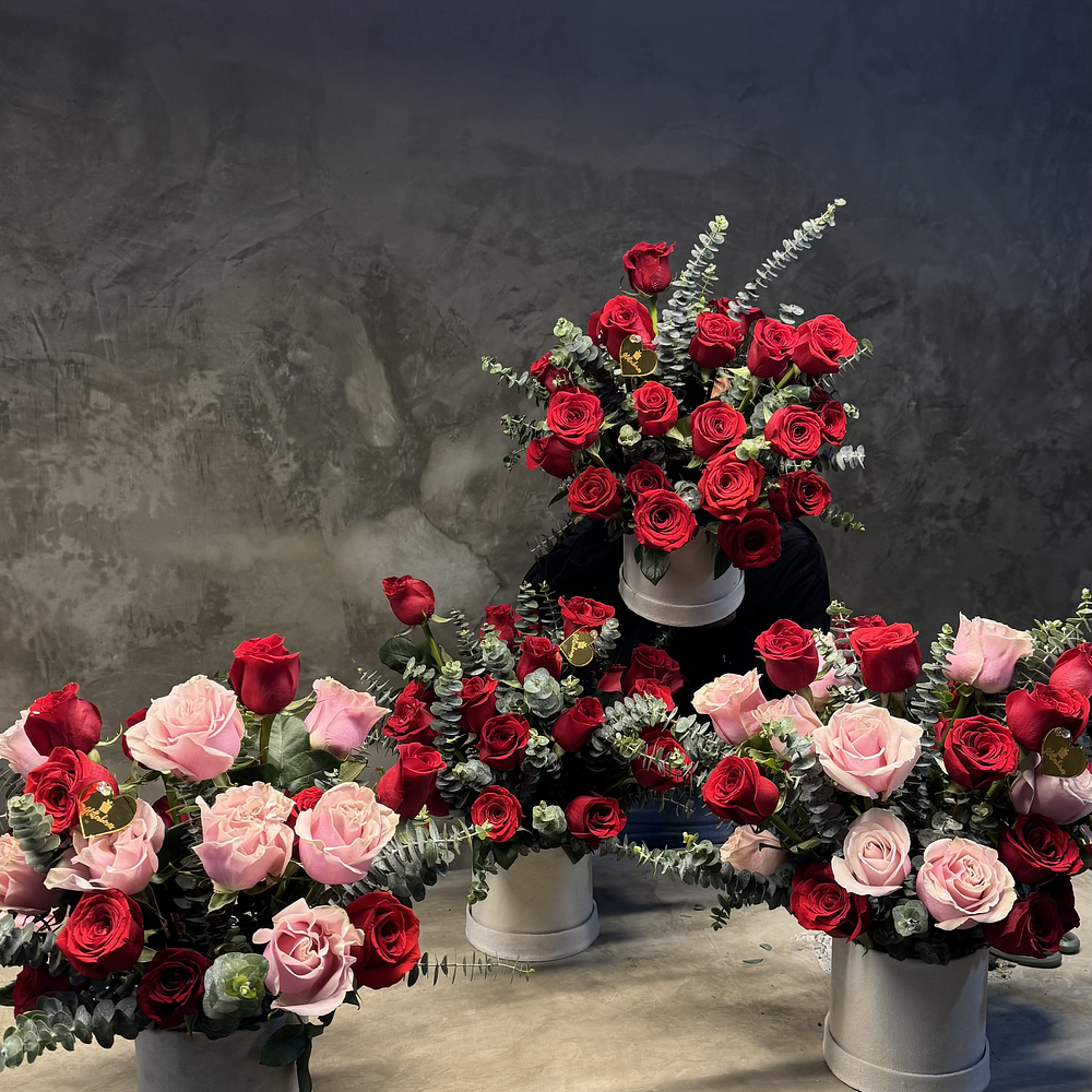 Declaración de lujo