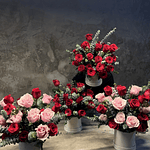 Declaración de lujo