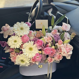 Luxe pastel 