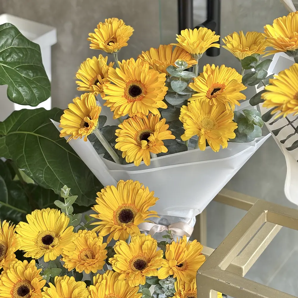 Gerbera lover 