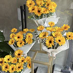 Gerbera lover 