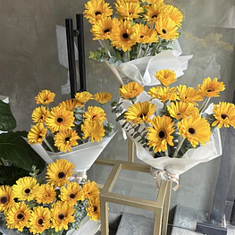 Gerbera lover 