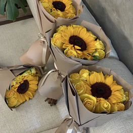 Girasol premium