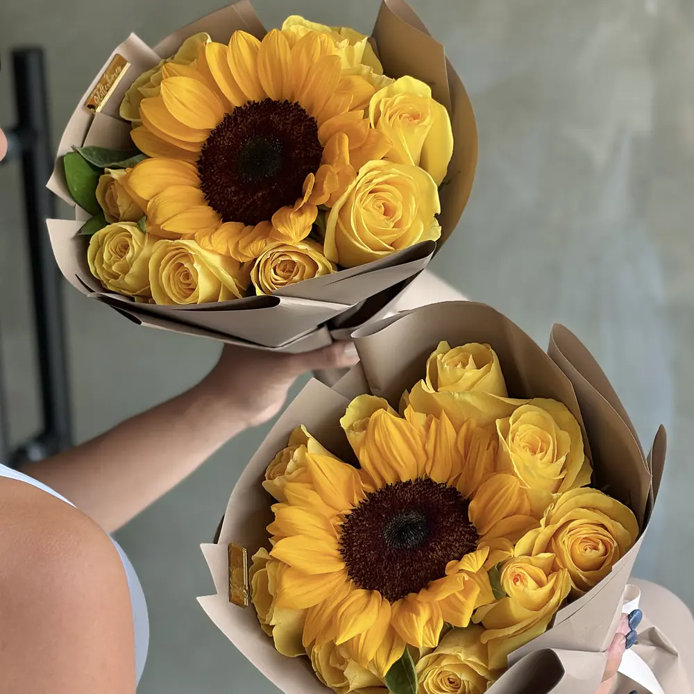 Girasol premium