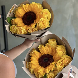 Girasol premium
