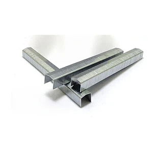Corchete/ Grapas   5019/10mm