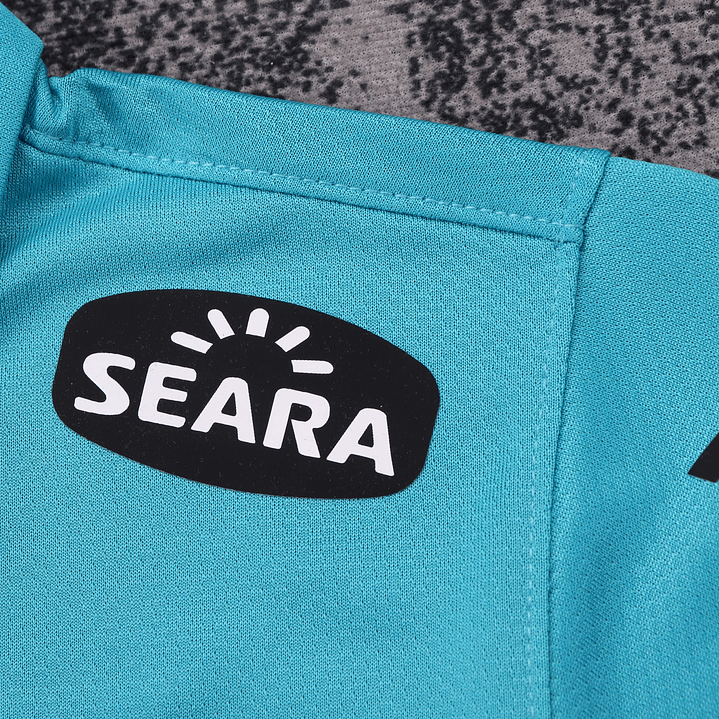 Fan: 12-13 Santos FC Third Stadium 10