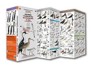 Guía de Bolsillo Aves marinas y Playeras de Chile