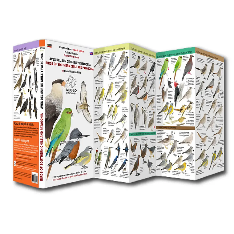 Guía de Bolsillo Aves del sur de Chile y Patagonia 1