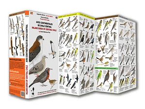 Guía de Bolsillo Aves de Chile Central