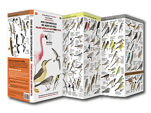 Guía de Bolsillo Aves Continentales del Norte de Chile