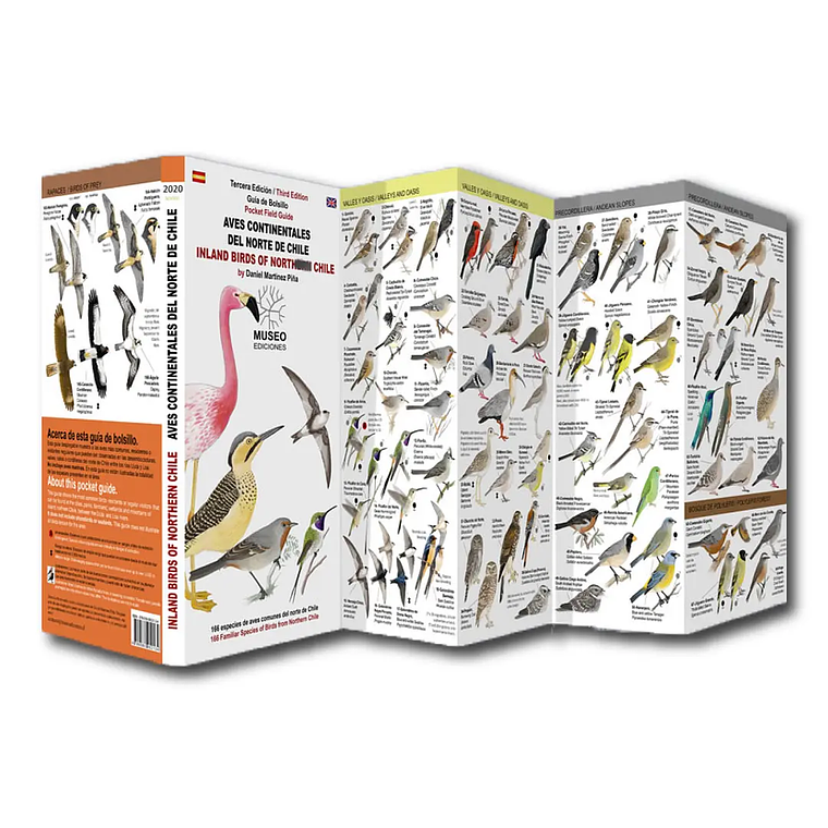 Guía de Bolsillo Aves Continentales del Norte de Chile 1