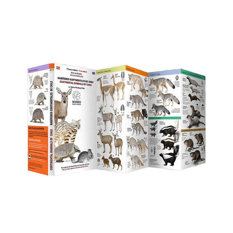 Guía de Bolsillo Mamíferos Continentales de Chile 1