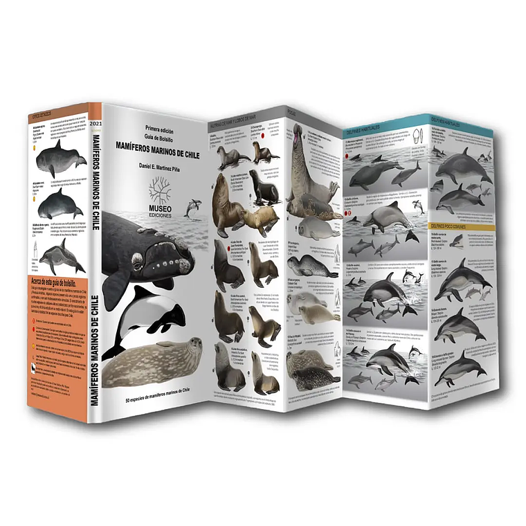Guía de Bolsillo Mamíferos Marinos de Chile 1