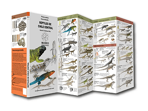 Guía de Bolsillo Reptiles de Chile Central