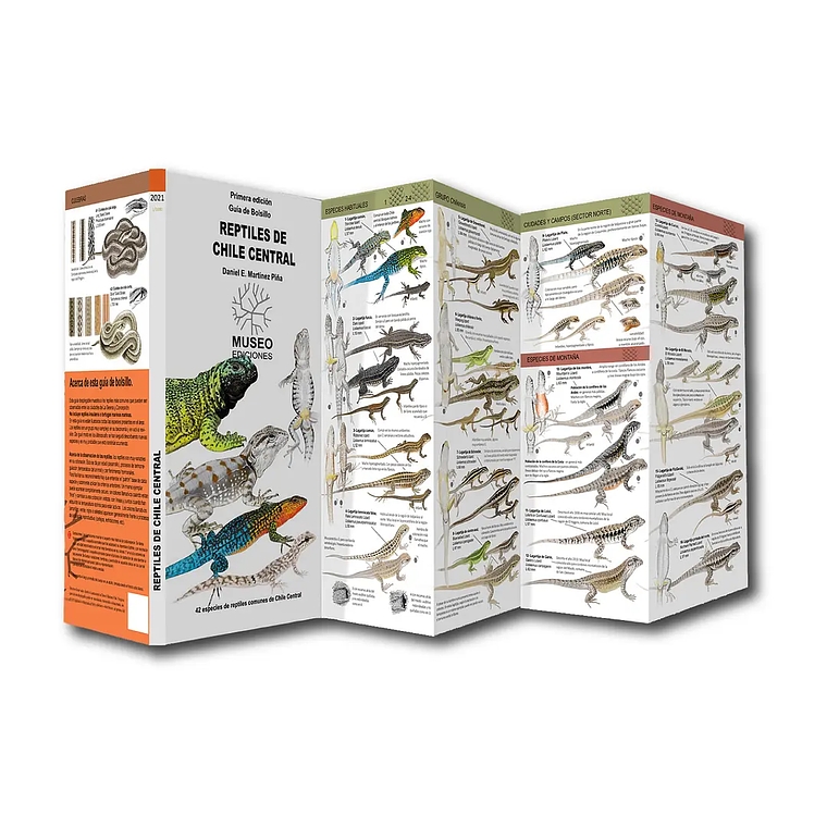 Guía de Bolsillo Reptiles de Chile Central 1