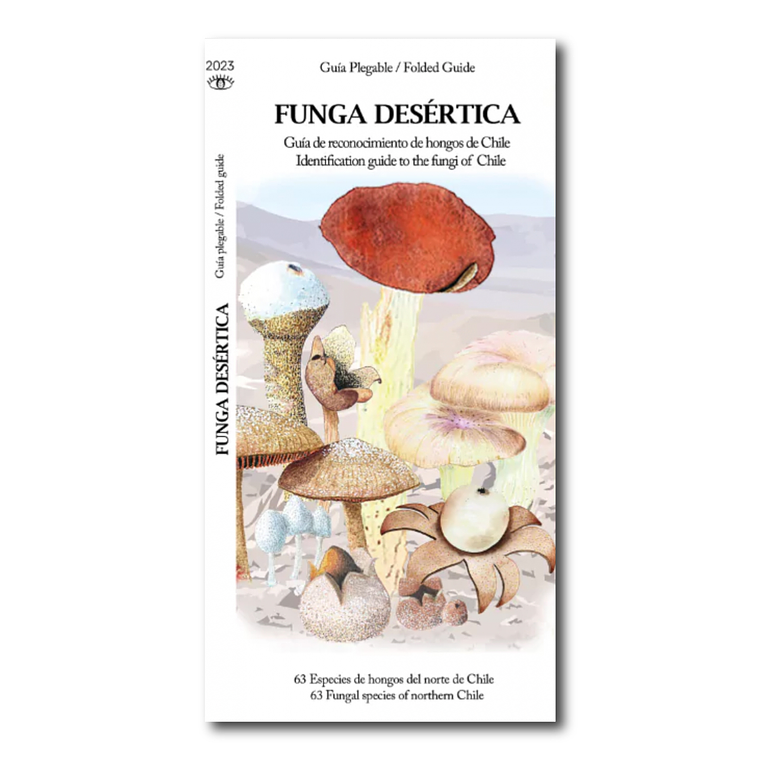 Guía de Bolsillo Funga Desertica de Chile 1