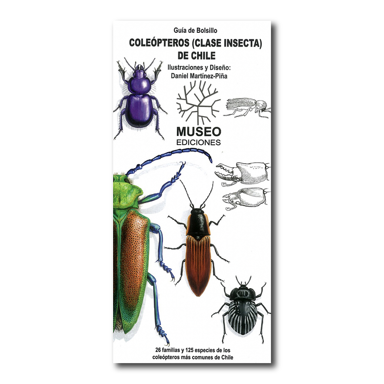Guía de Bolsillo Coleópteros de Chile 1