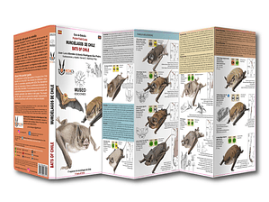 Guía de Bolsillo Murciélagos de Chile