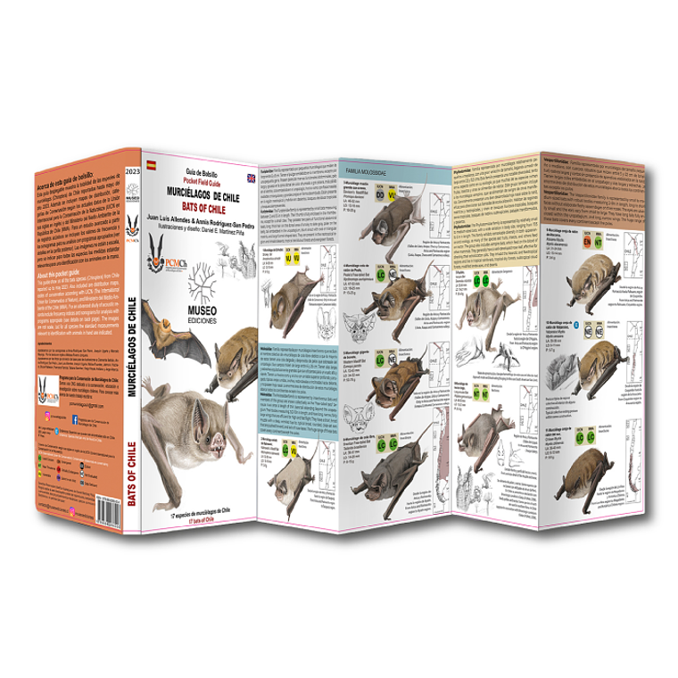 Guía de Bolsillo Murciélagos de Chile 1