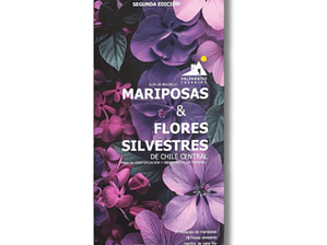 Guía de Bolsillo Mariposas y Flores Silvestres