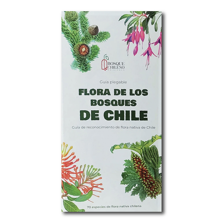 Guía de Bolsillo Flora de los Bosques de Chile 1