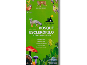 Guía de Bolsillo Bosque Esclerófilo