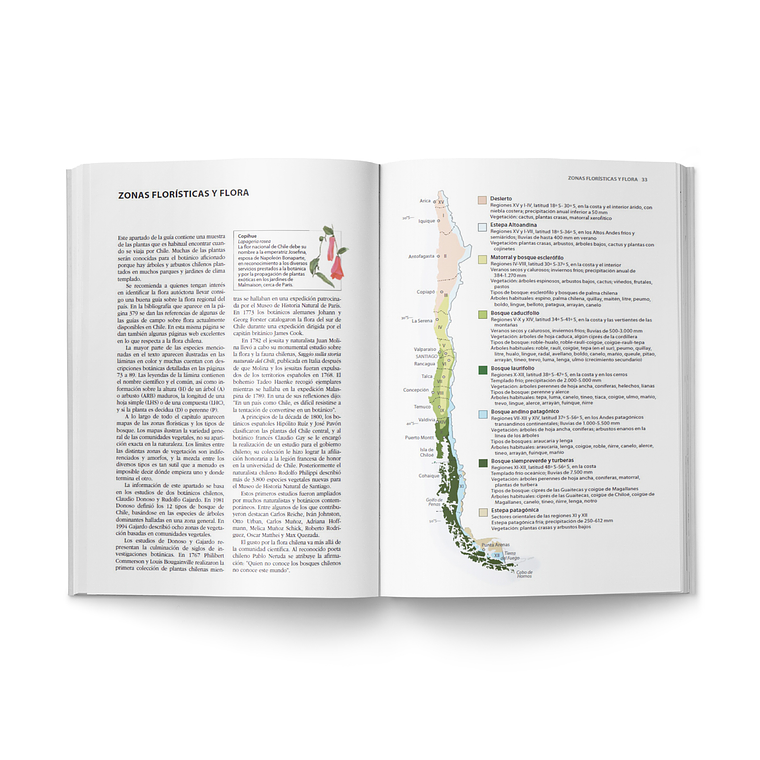 Flora y Fauna de Chile - Guía de Identificación - Sharon Chester 5