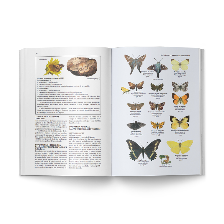 Flora y Fauna de Chile - Guía de Identificación - Sharon Chester 6