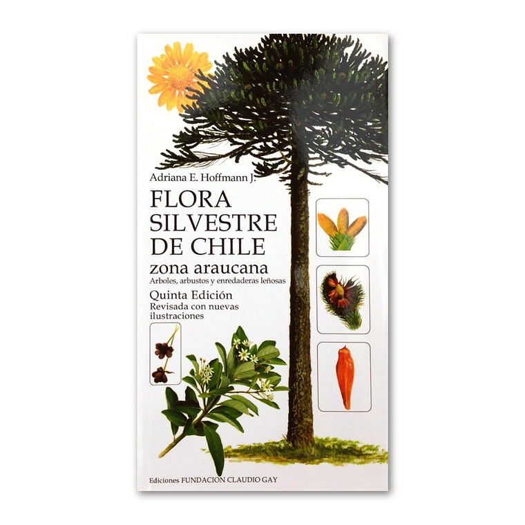 Flora Silvestre de Chile Zona Araucana - Adriana Hoffmann 1