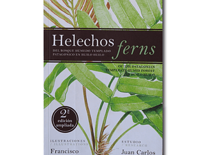 Helechos ferns - Huilo Huilo
