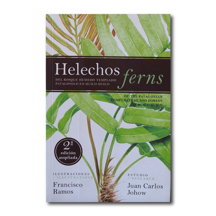 Helechos ferns - Huilo Huilo 1