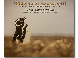 Pingüino de Magallanes - Entre islas y agua del estrecho