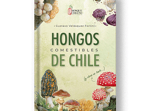 Hongos Comestibles de Chile y otros no tanto