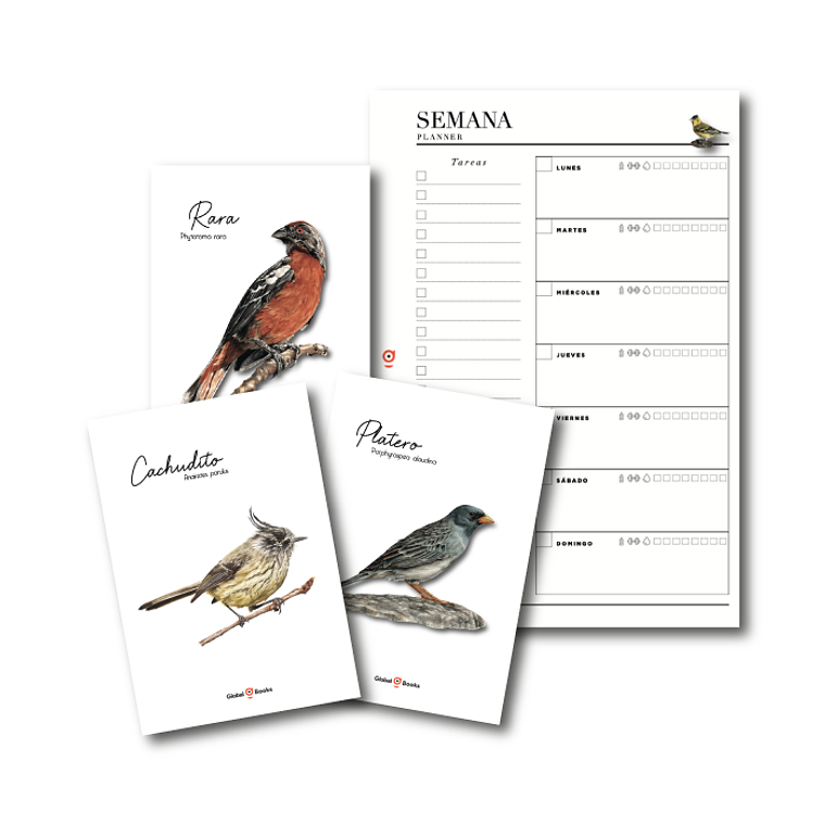 Planner Semanal Aves de Chile - Digital Imprimible 2