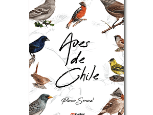 Planner Semanal Aves de Chile - Digital Imprimible