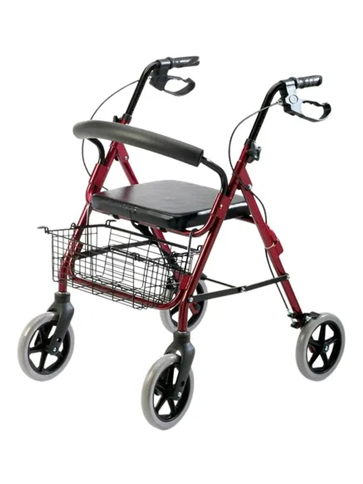 ANDADOR 4 RUEDAS CON CANASTO 1