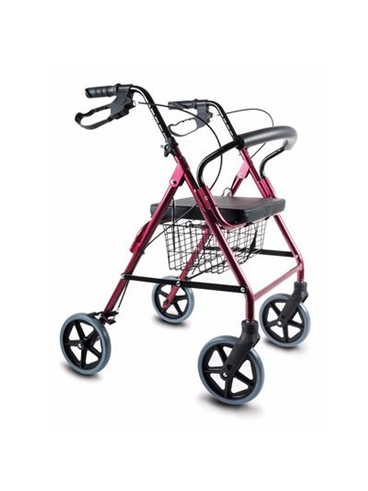 ANDADOR 4 RUEDAS CON CANASTO 3