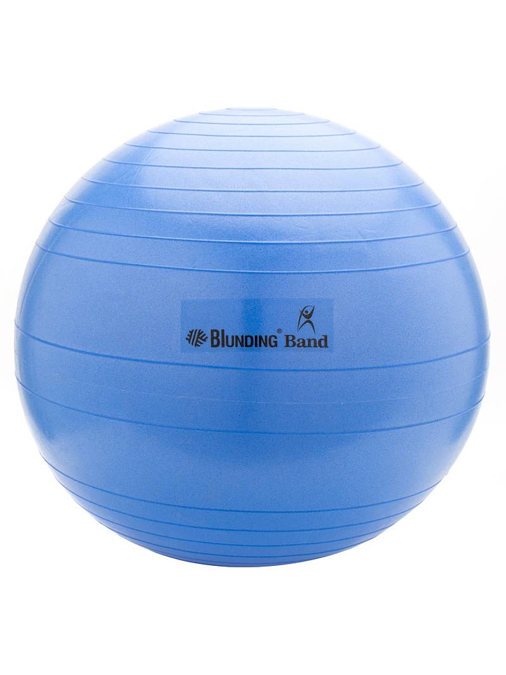 BALON DE EJERCICIOS CON BOMBIN 65 CM 1