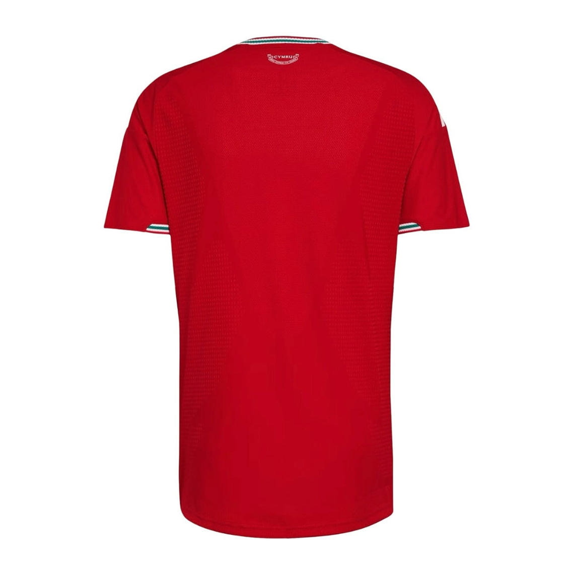 PAÍS DE GALES I 2026 WORLD CUP HOMBRE 2