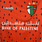 PALESTINO IIII 25/26 HOMBRE - Miniatura 3