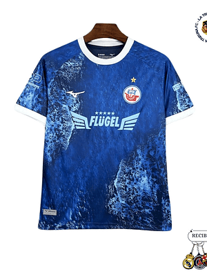 HANSA ROSTOCK EDICIÓN ESPECIAL 25/26 HOMBRE