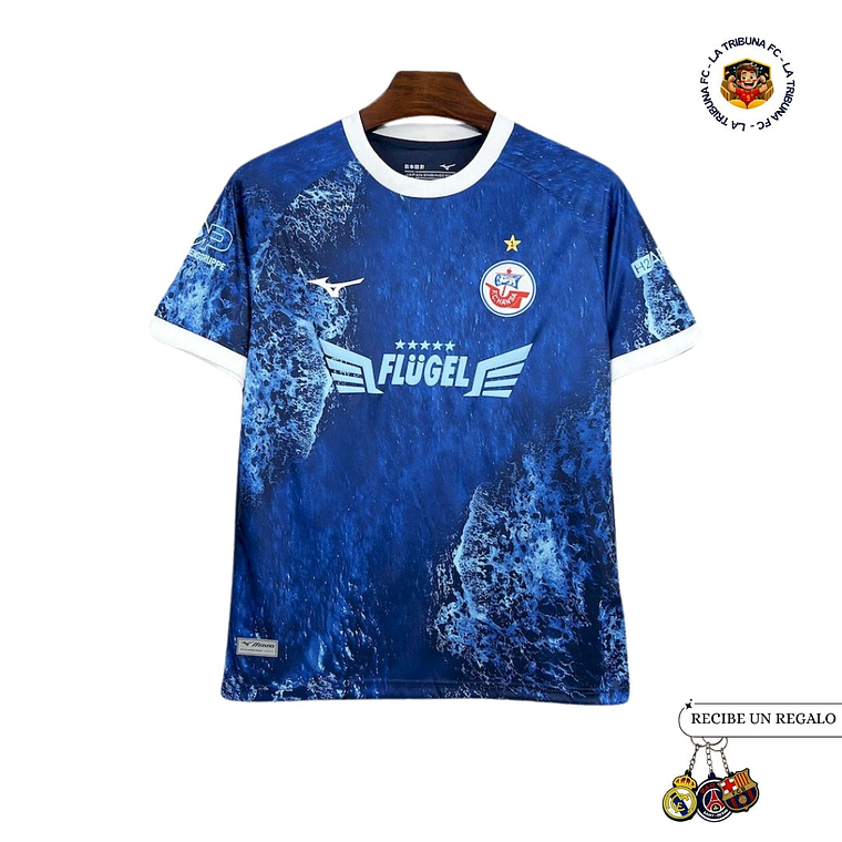 HANSA ROSTOCK EDICIÓN ESPECIAL 25/26 HOMBRE 1