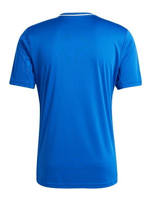 AVS FUTEBOL SAD III 25/26 HOMBRE