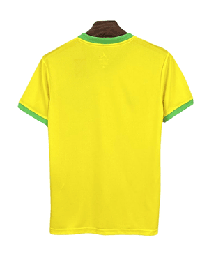 BRASIL EDICIÓN ESPECIAL JORDAN I 25/26 HOMBRE