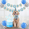 Pack Cumpleaños Mascotas - Perros - Doglover